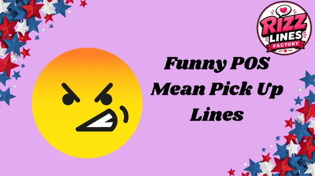 Funny POS Mean Pick Up Lines