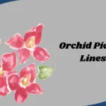Orchid Pickup Lines