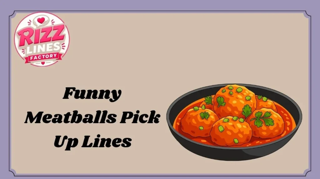Funny Meatballs Pick Up Lines